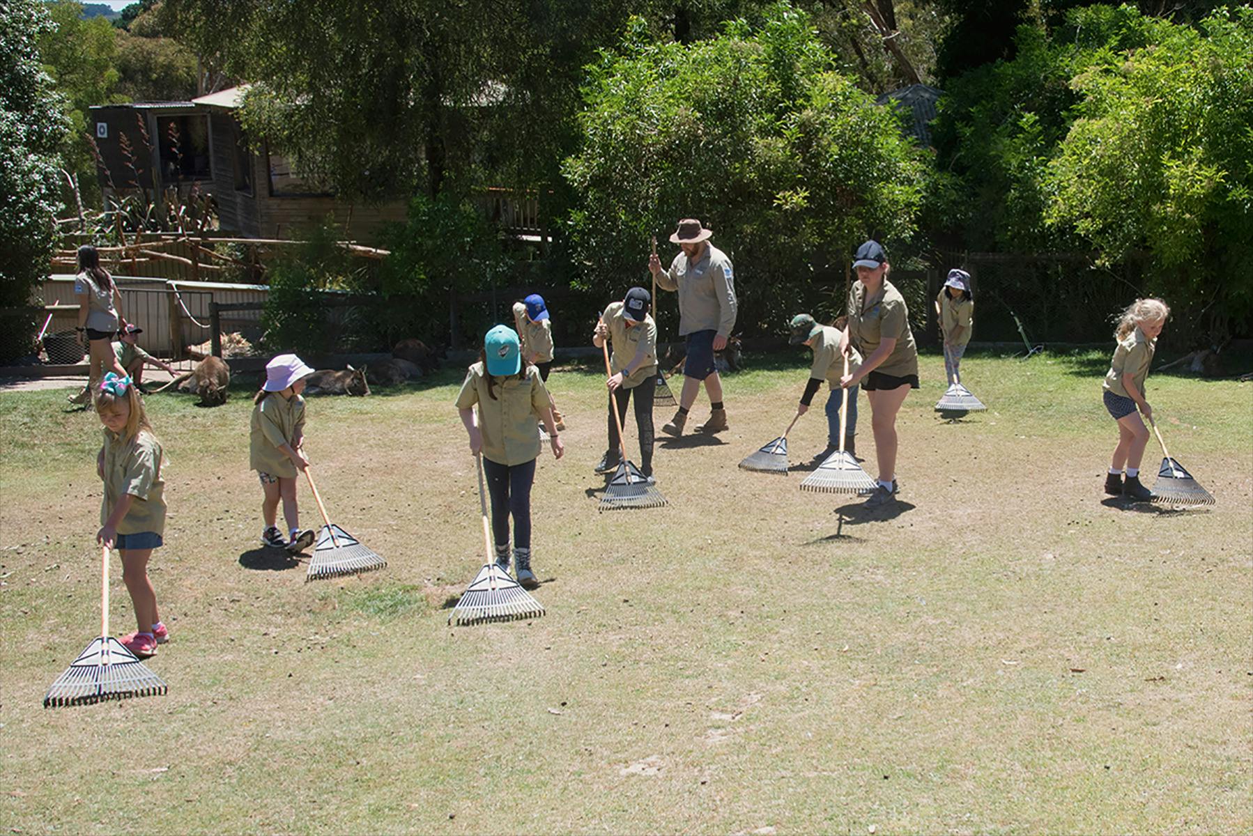 Children as zoo keepers raking