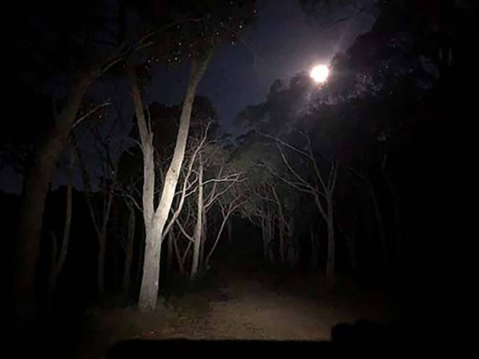 Night Walks - Full Moon Hikes