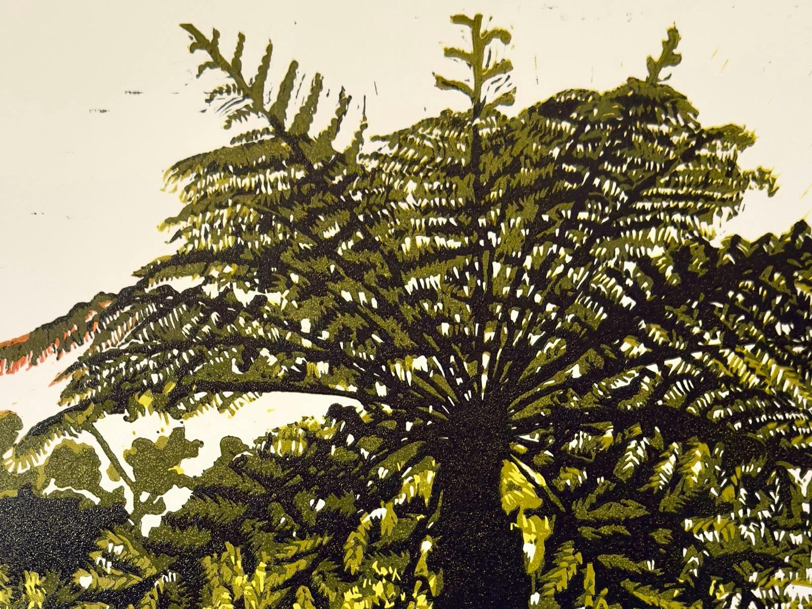 Rachel Dun, Grandmother Tree Fern, 2026