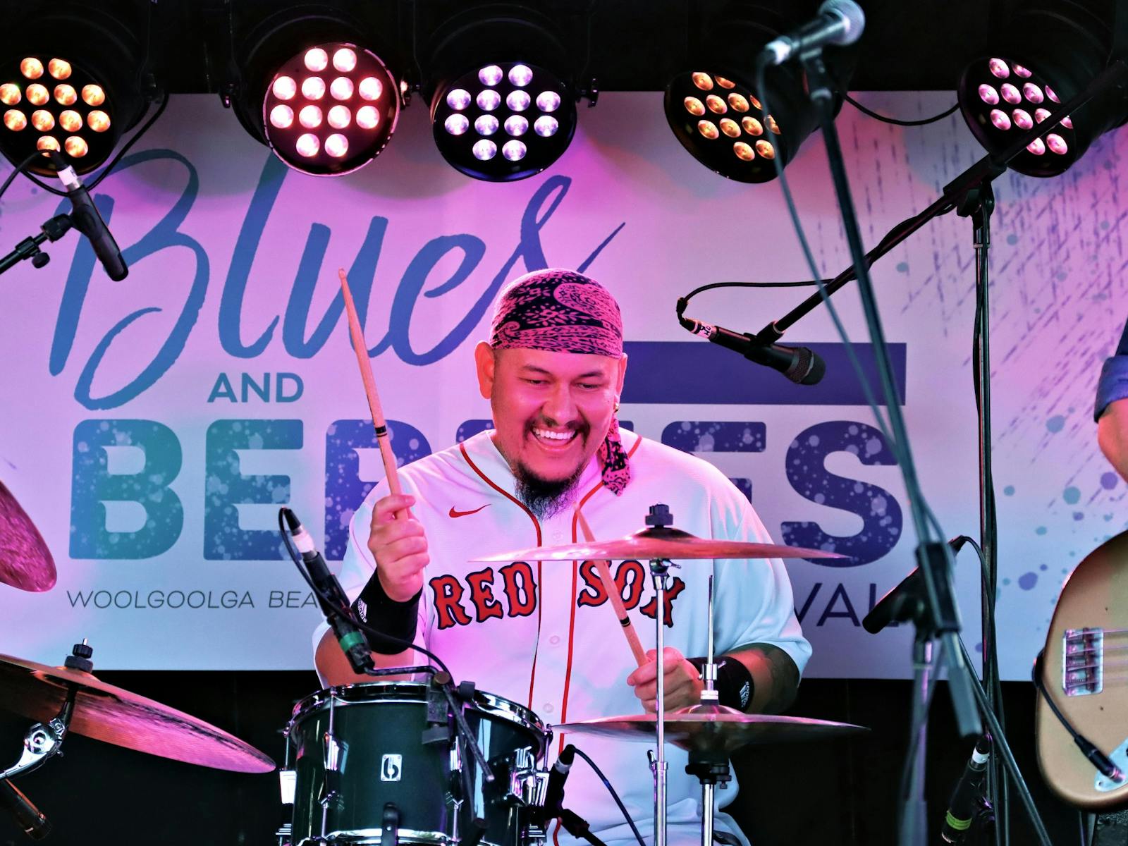 Image for Blues and Berries Festival