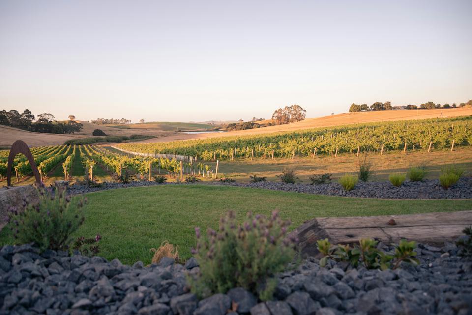Eastford Creek Vineyard photo