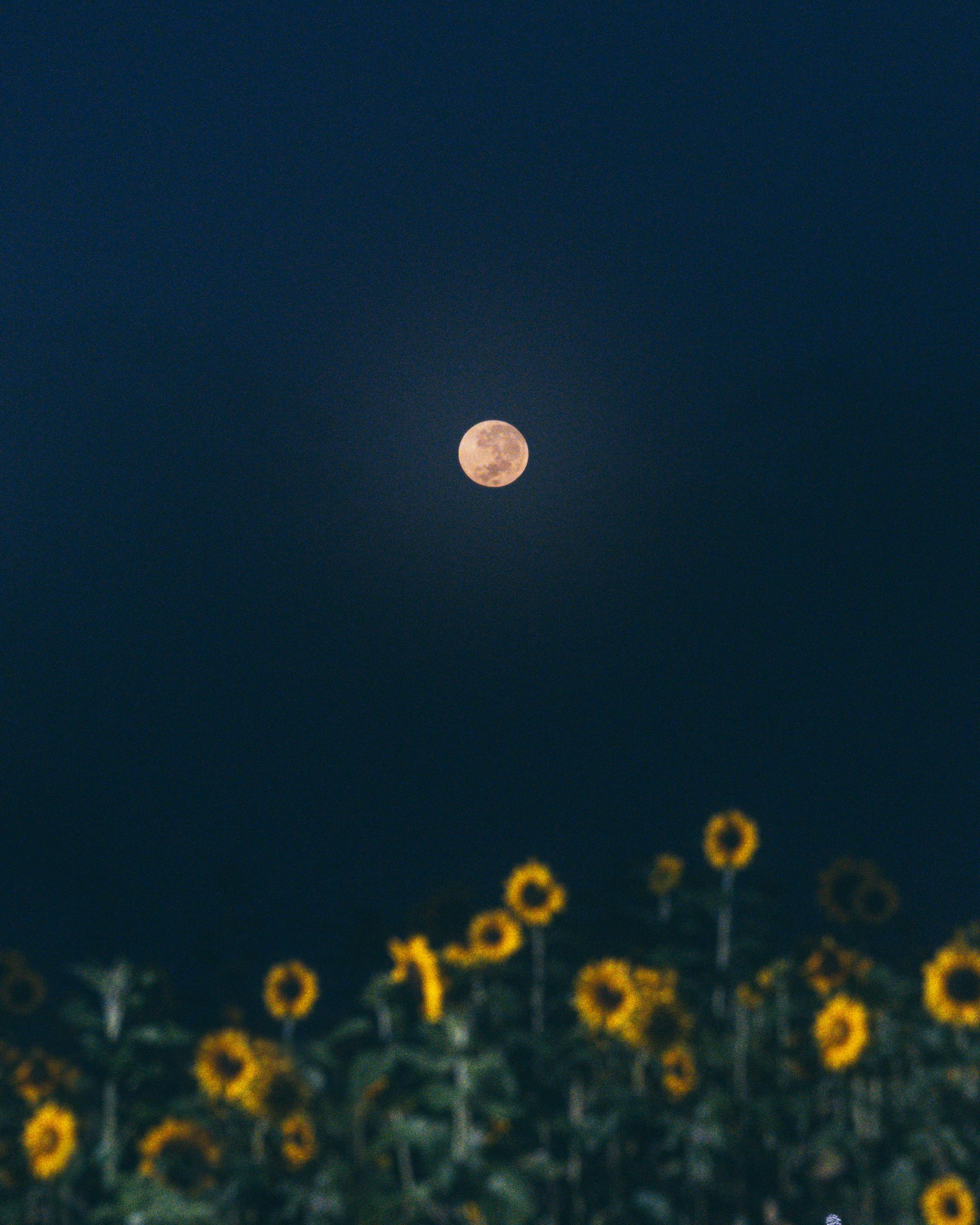 moon