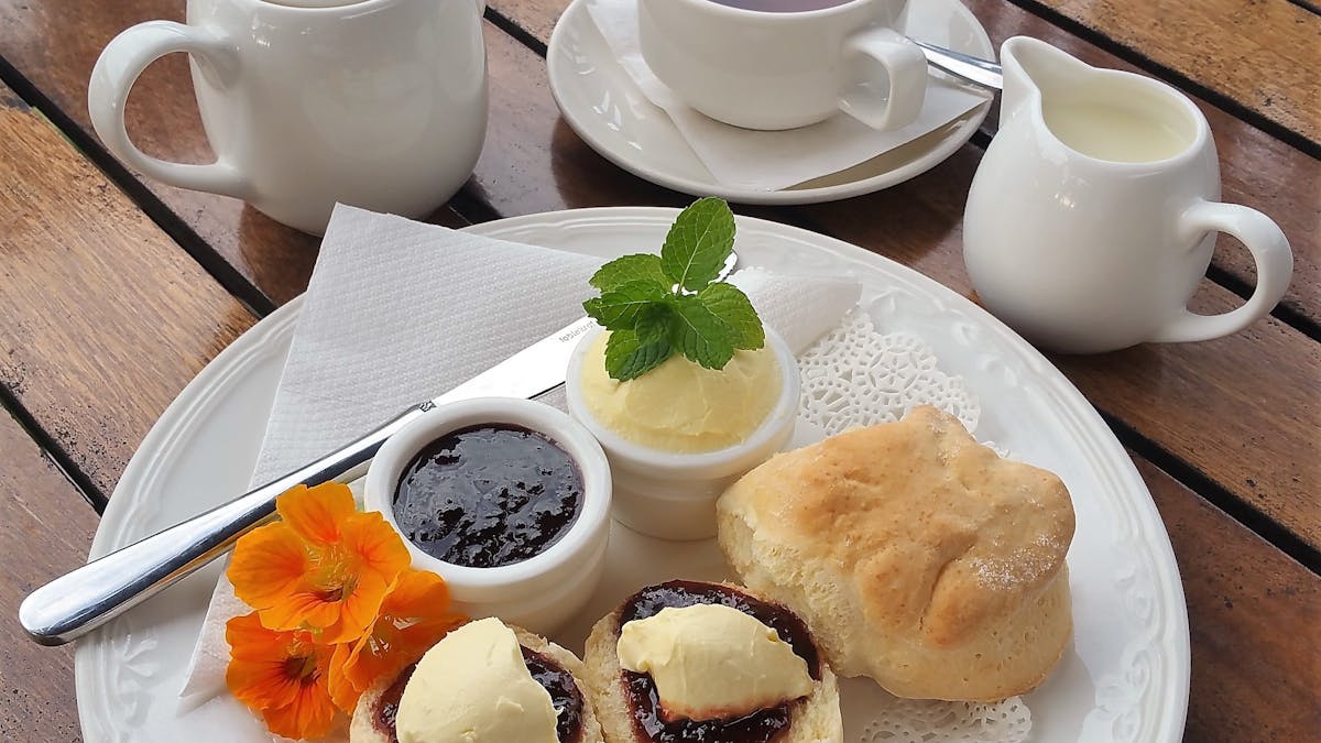Our Famous Scones with Fresh Jersey Cream & Davidsons' Plum Rainforest Jam