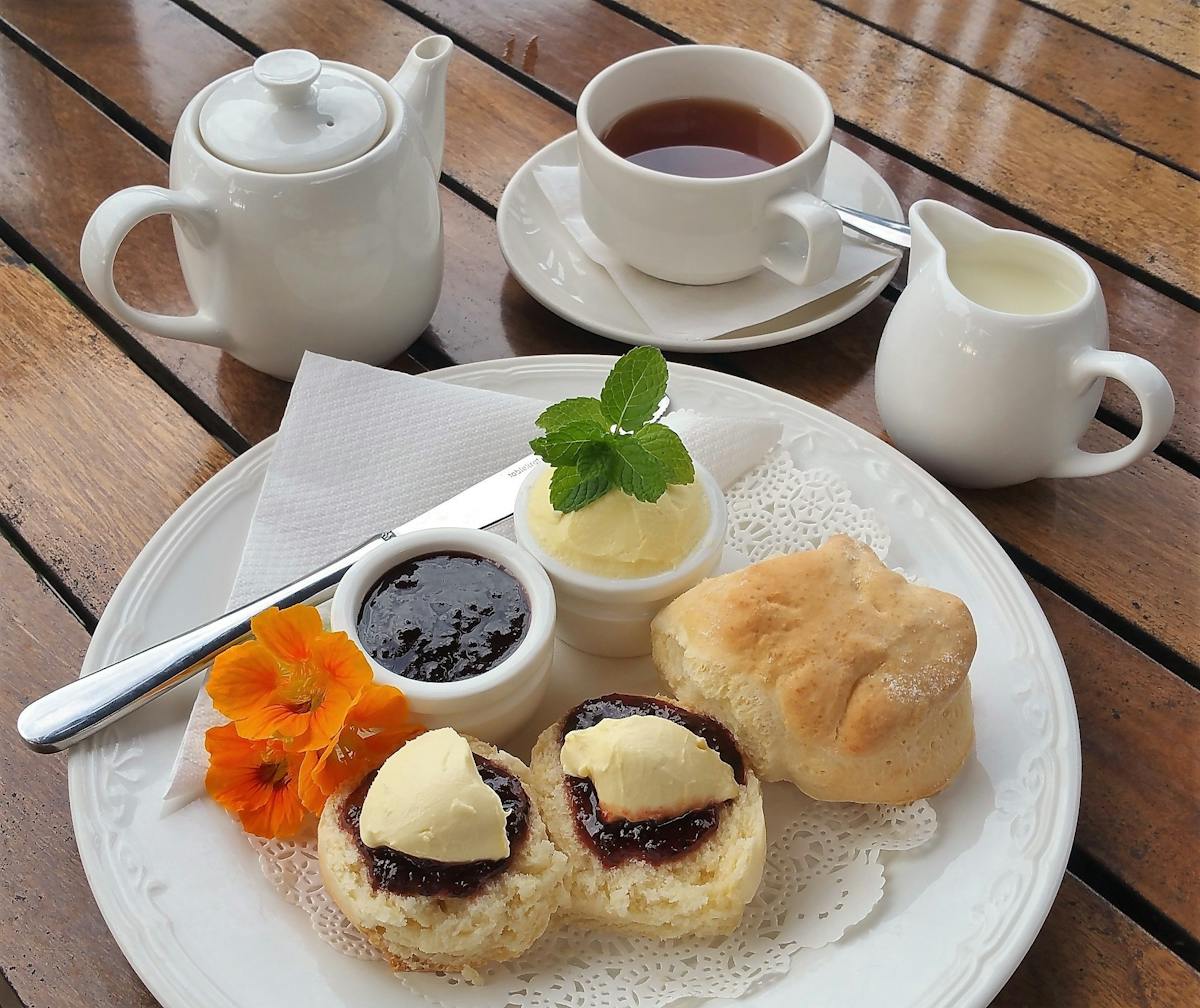 Our Famous Scones with Fresh Jersey Cream & Davidsons' Plum Rainforest Jam