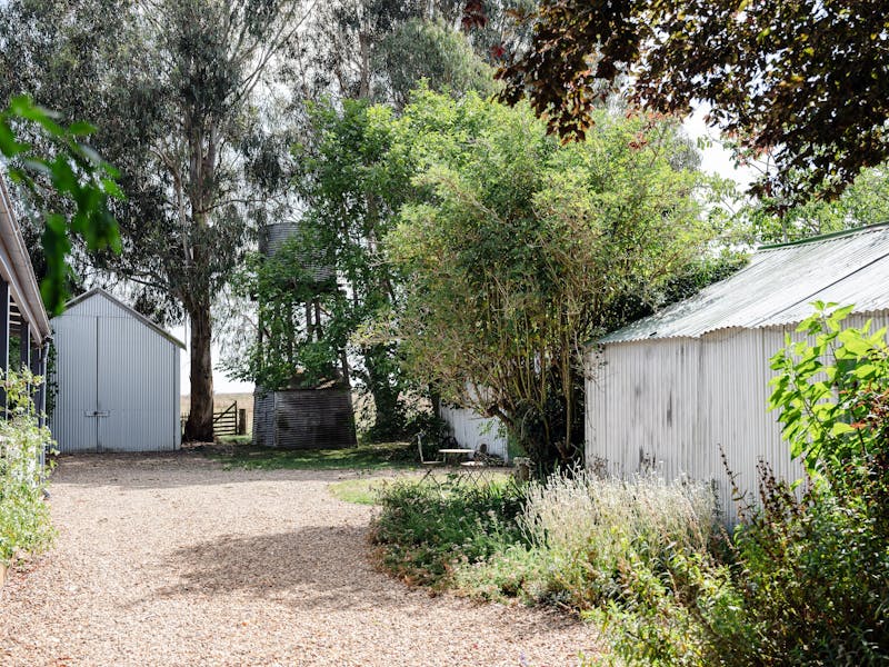 Ashburton Lavender Farm