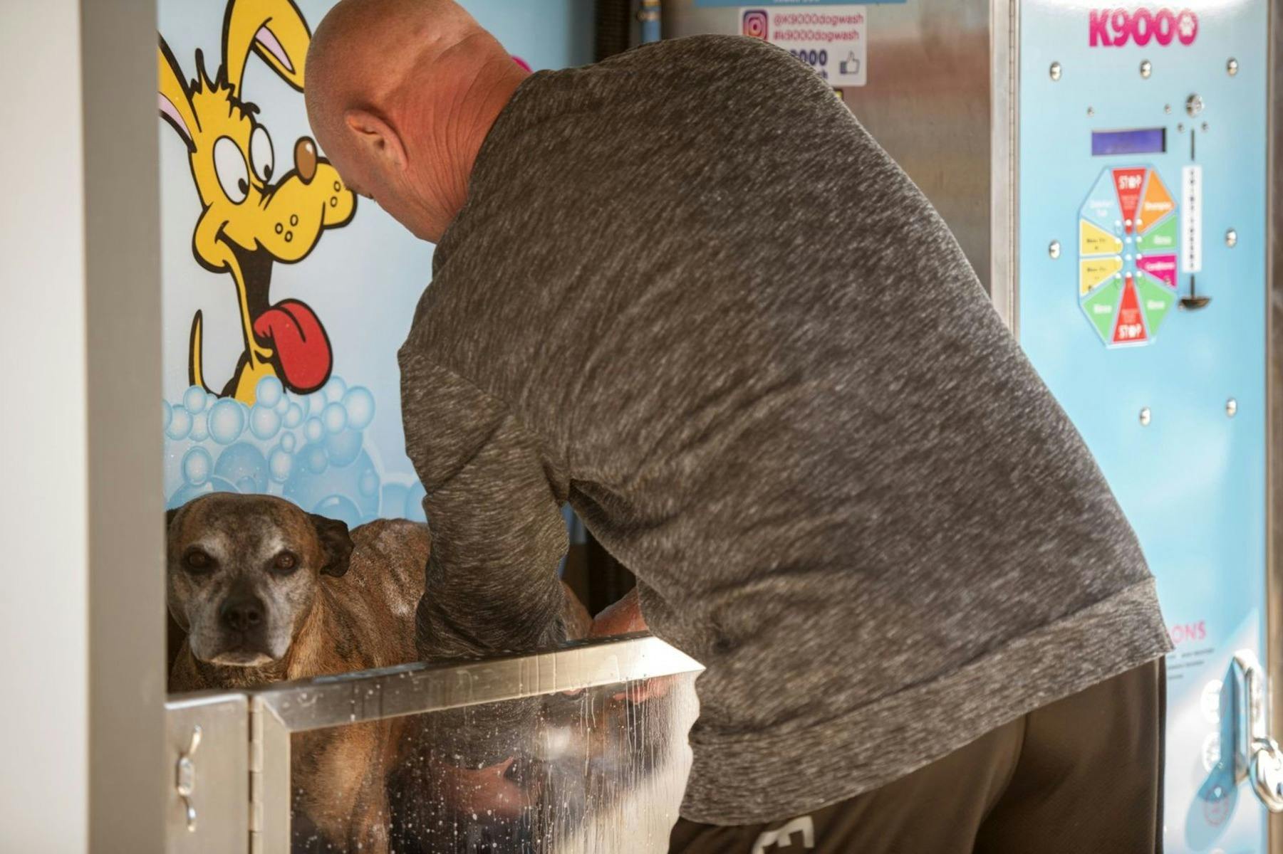 Dog Wash