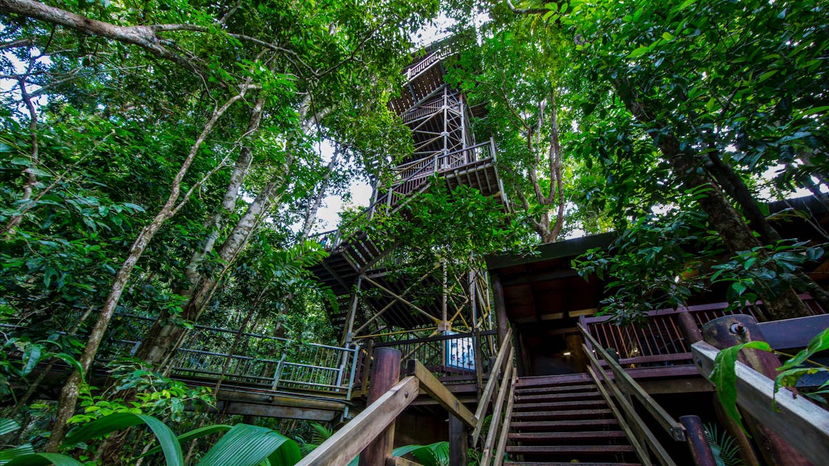 Daintree Discovery Centre Canopy Tower