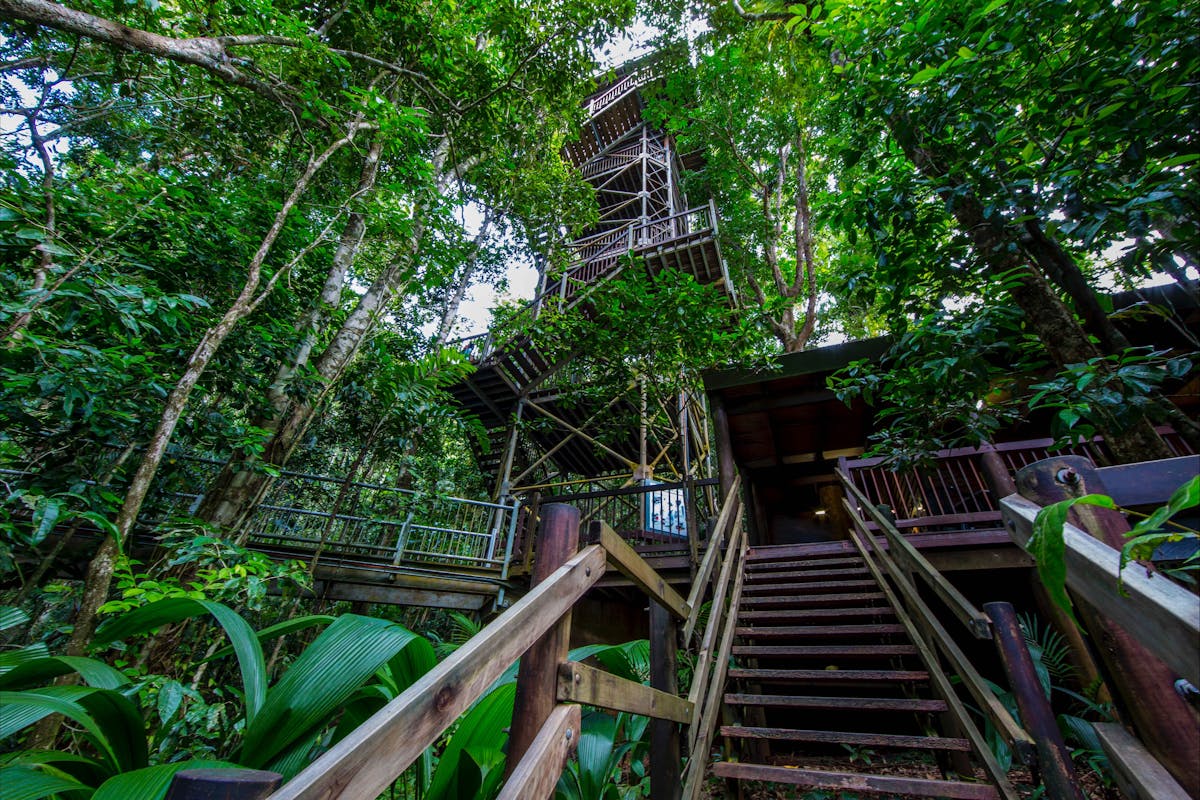 Daintree Discovery Centre Canopy Tower