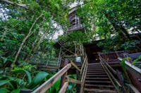 Daintree Discovery Centre Canopy Tower