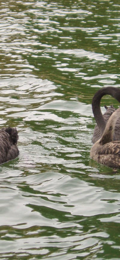 A promising start to life