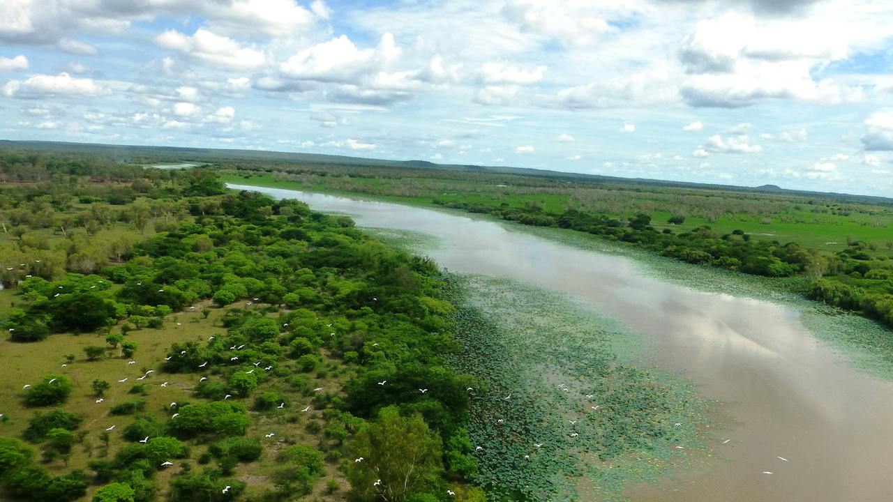 Mary River wetlands