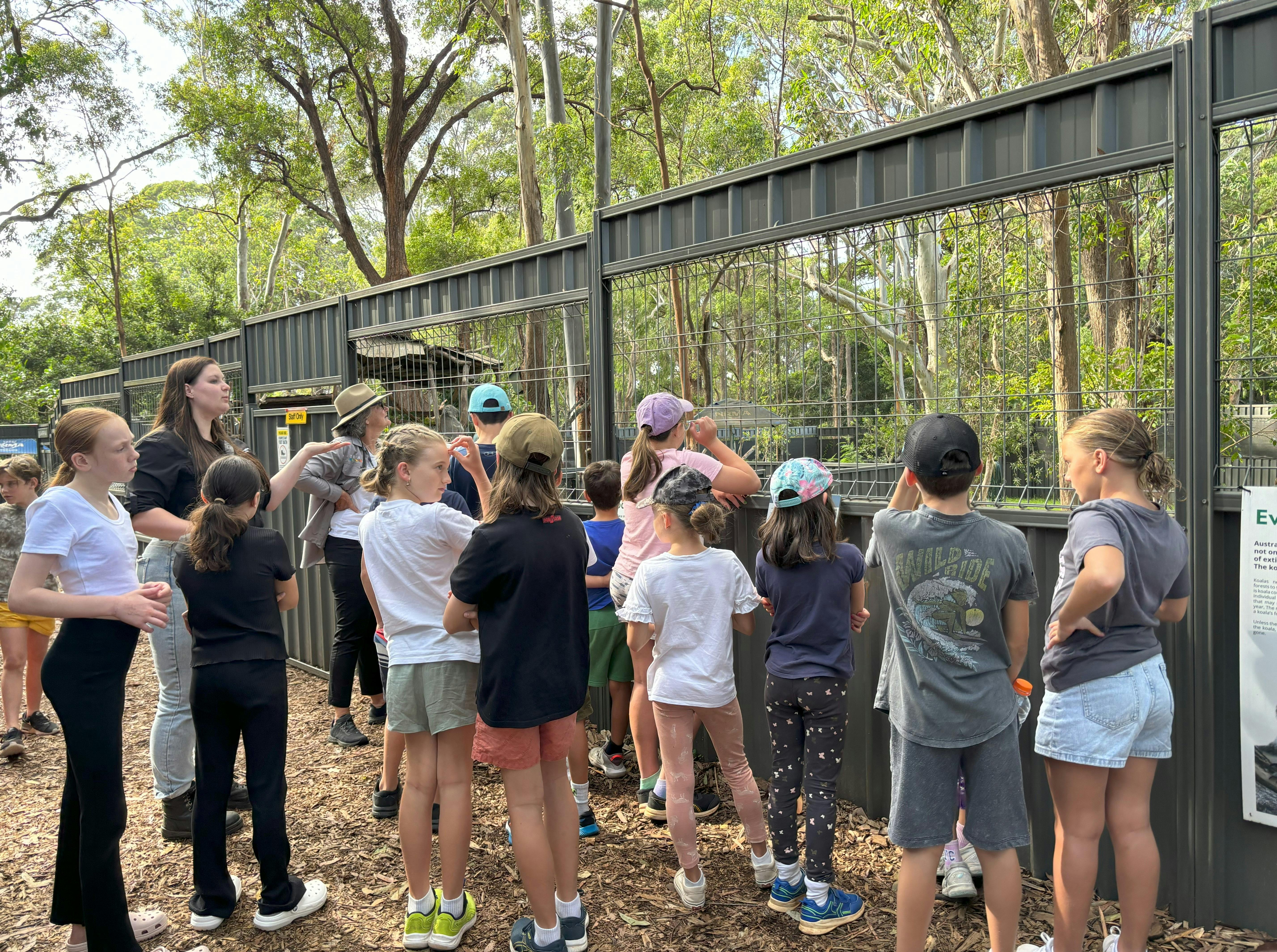 Cultural Guula Kids Tours