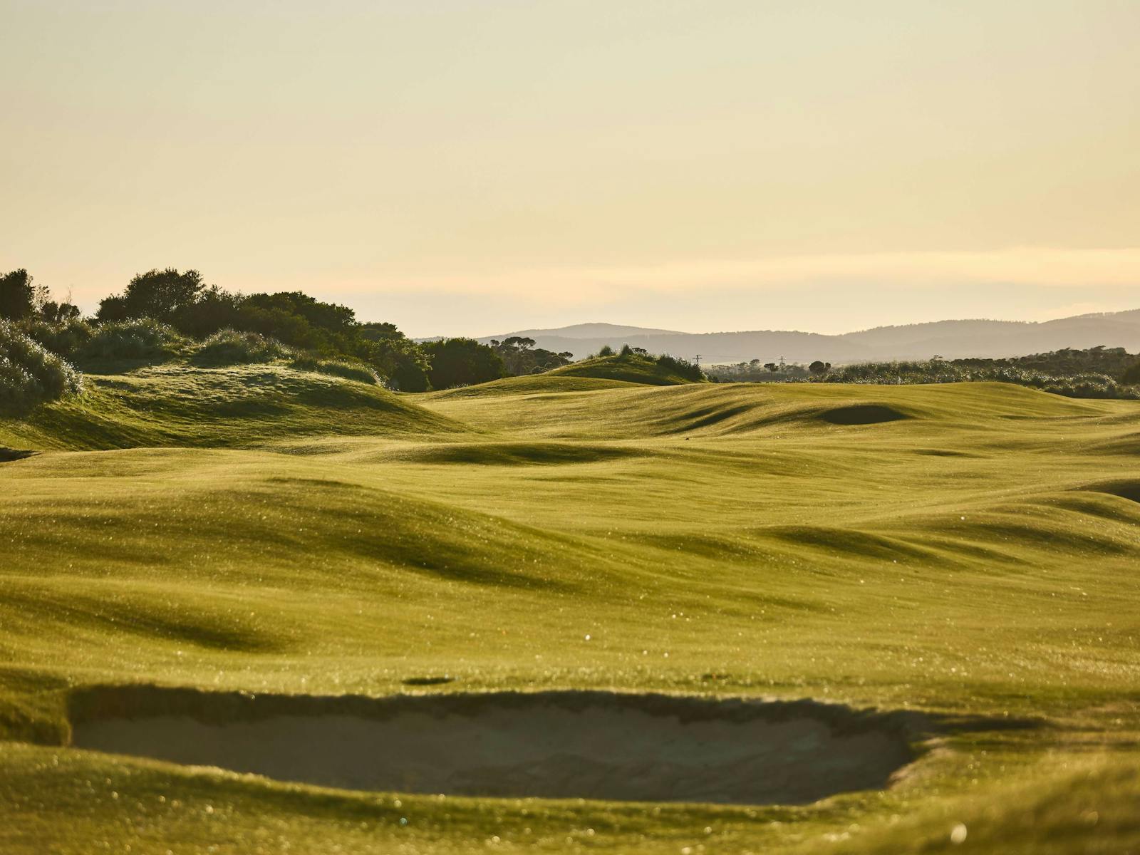 Barnbougle Dunes