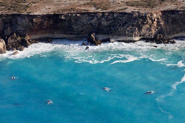 Chinta Air - Ceduna