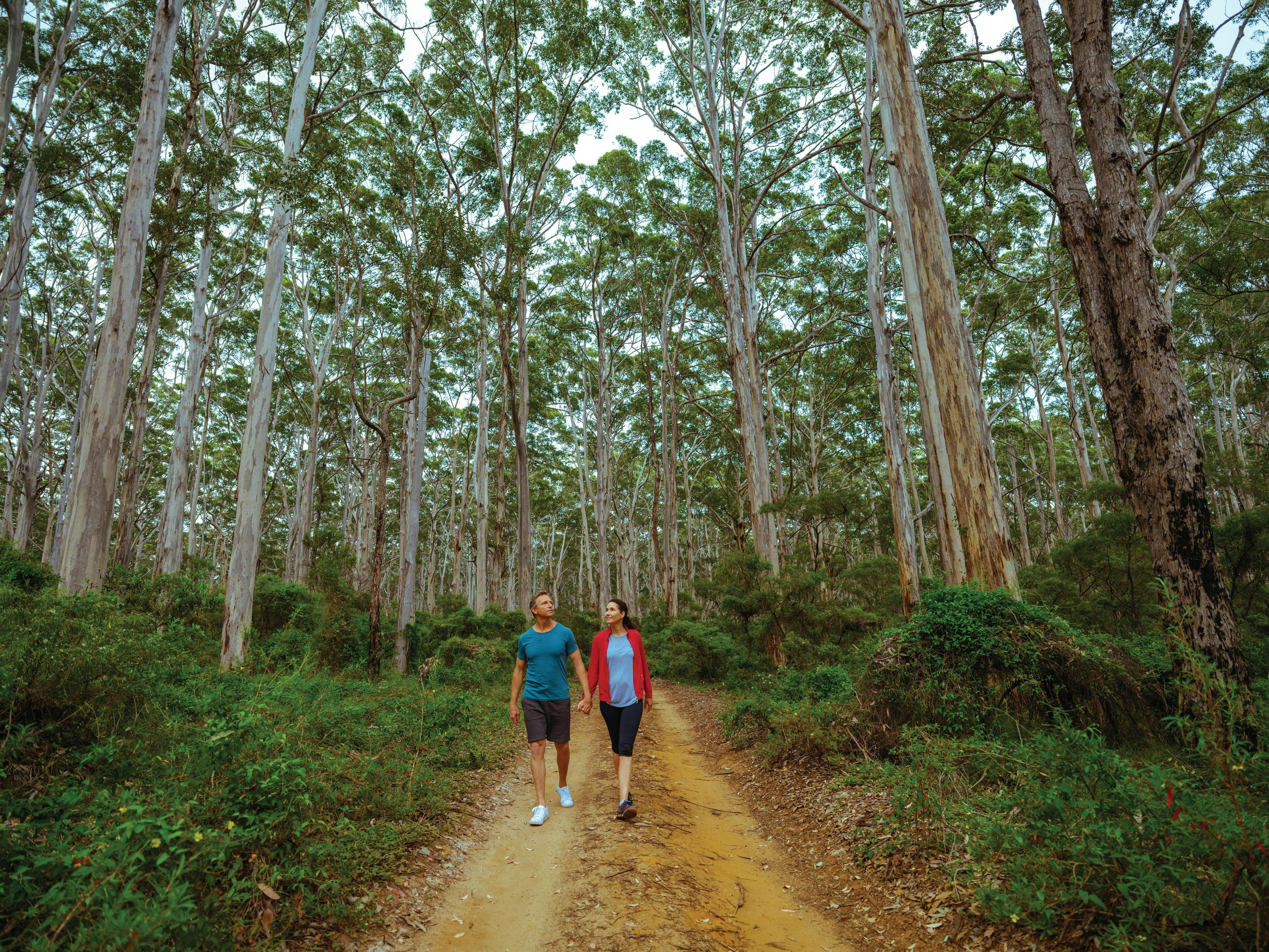 The South West and Golden Outback, Margaret River, Western Australia