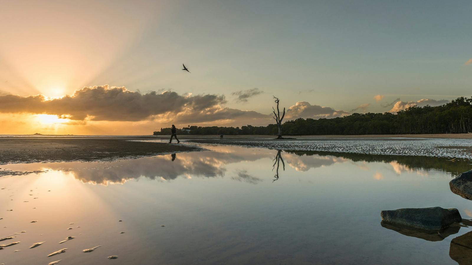 Sunrise at Shoal Point