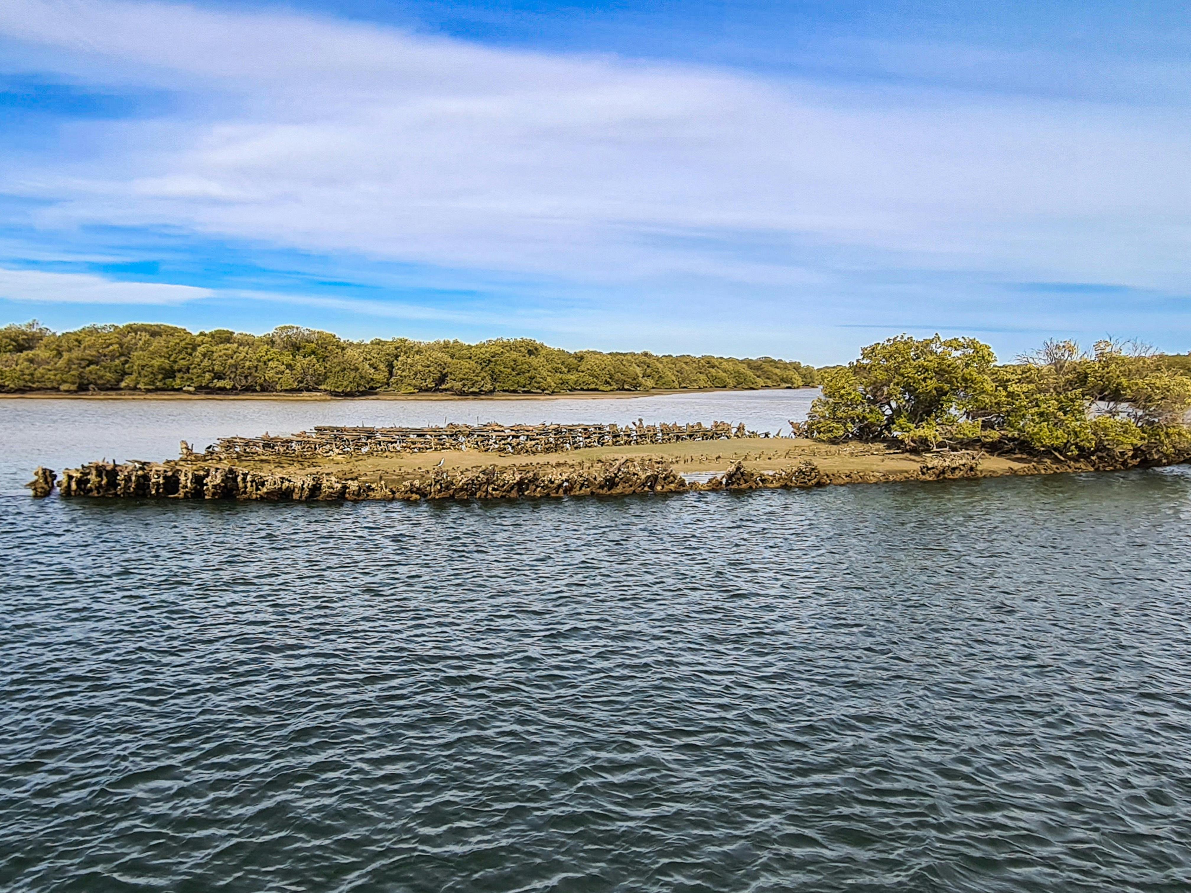 The Dorothy sits in the water, its top mostly soil and a large tree growing from the top