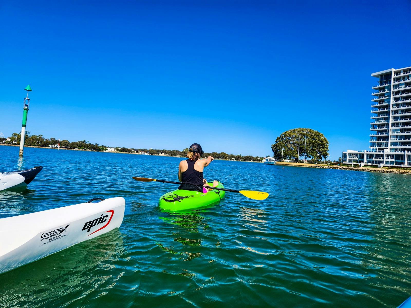 Dolphin Spotting, Estuary Escapades - Paddling Stories of Mandurah