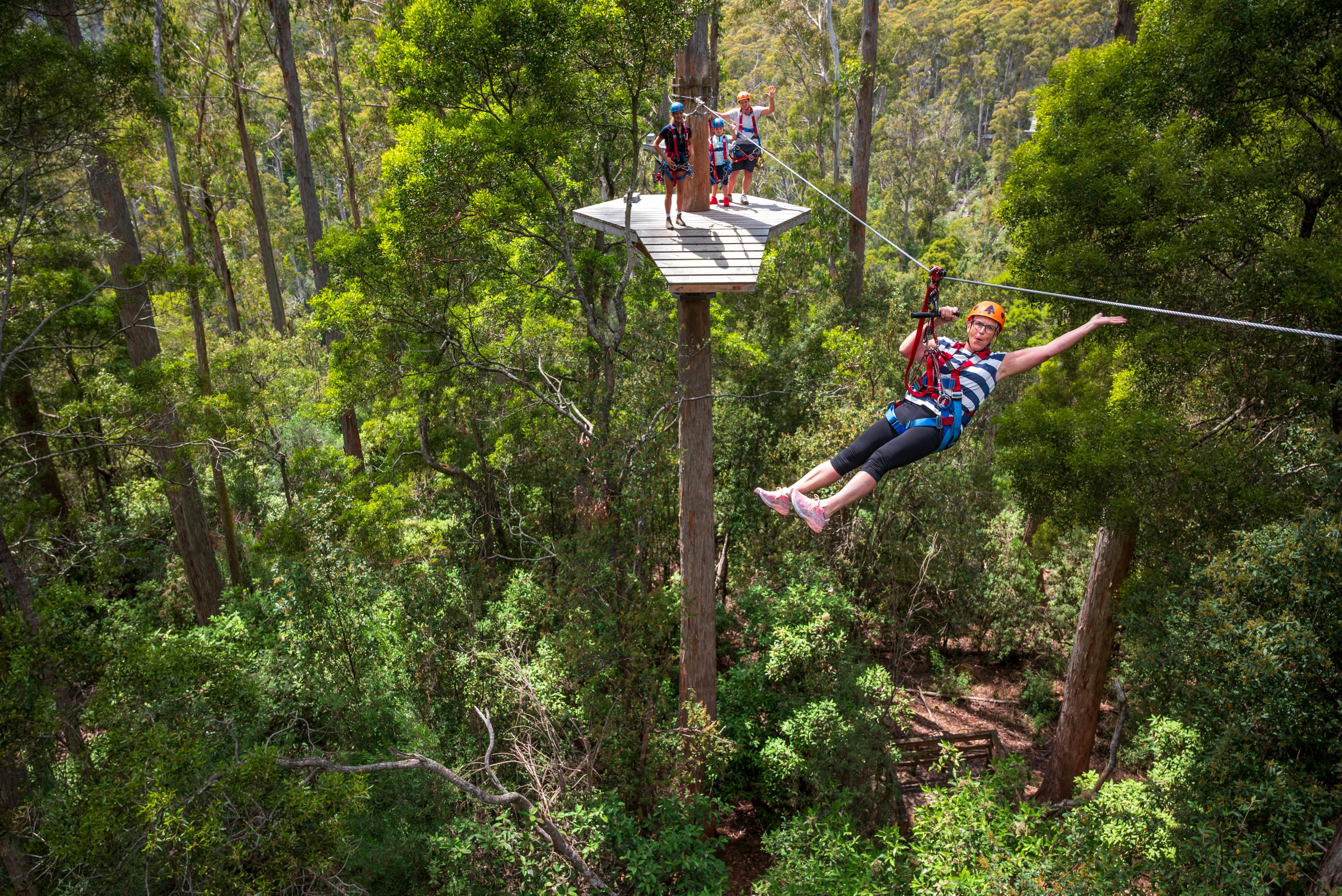 Treetops Hollybank Zipline Tour Family Adventure