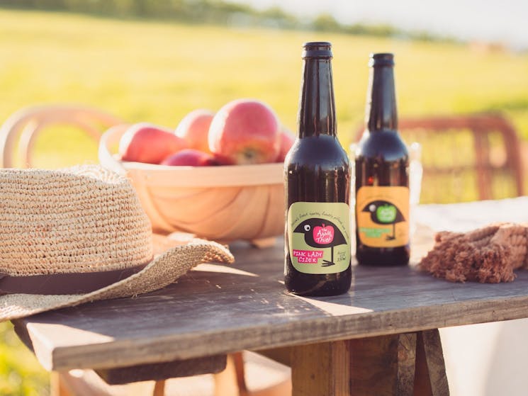 The bowl of apples picked from the orchard is made into The Apple Thief ciders.