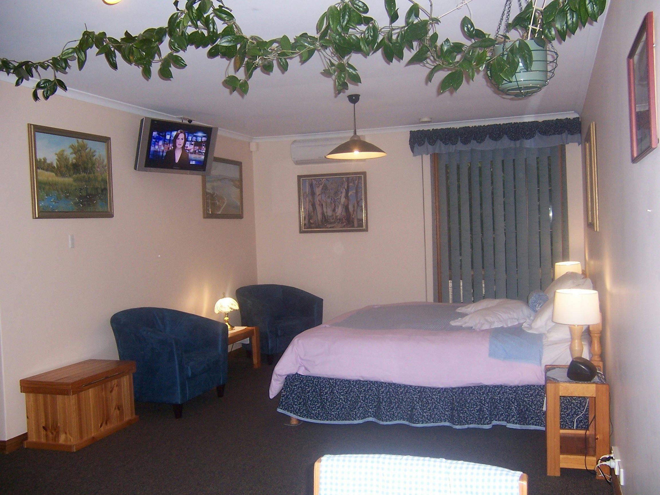 King size bed or twins