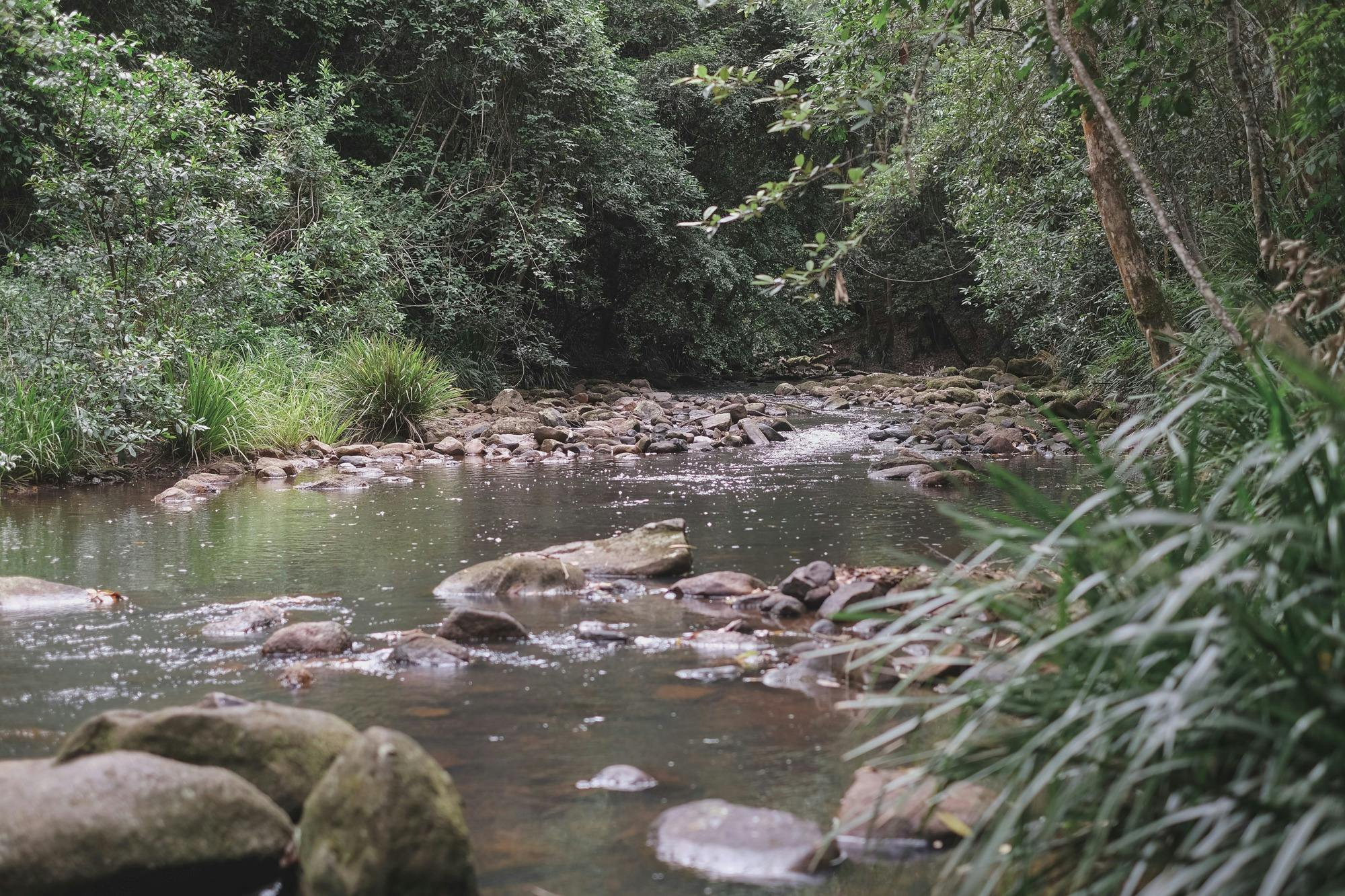 The Gorge Walking Track,  Kerewong State Forest