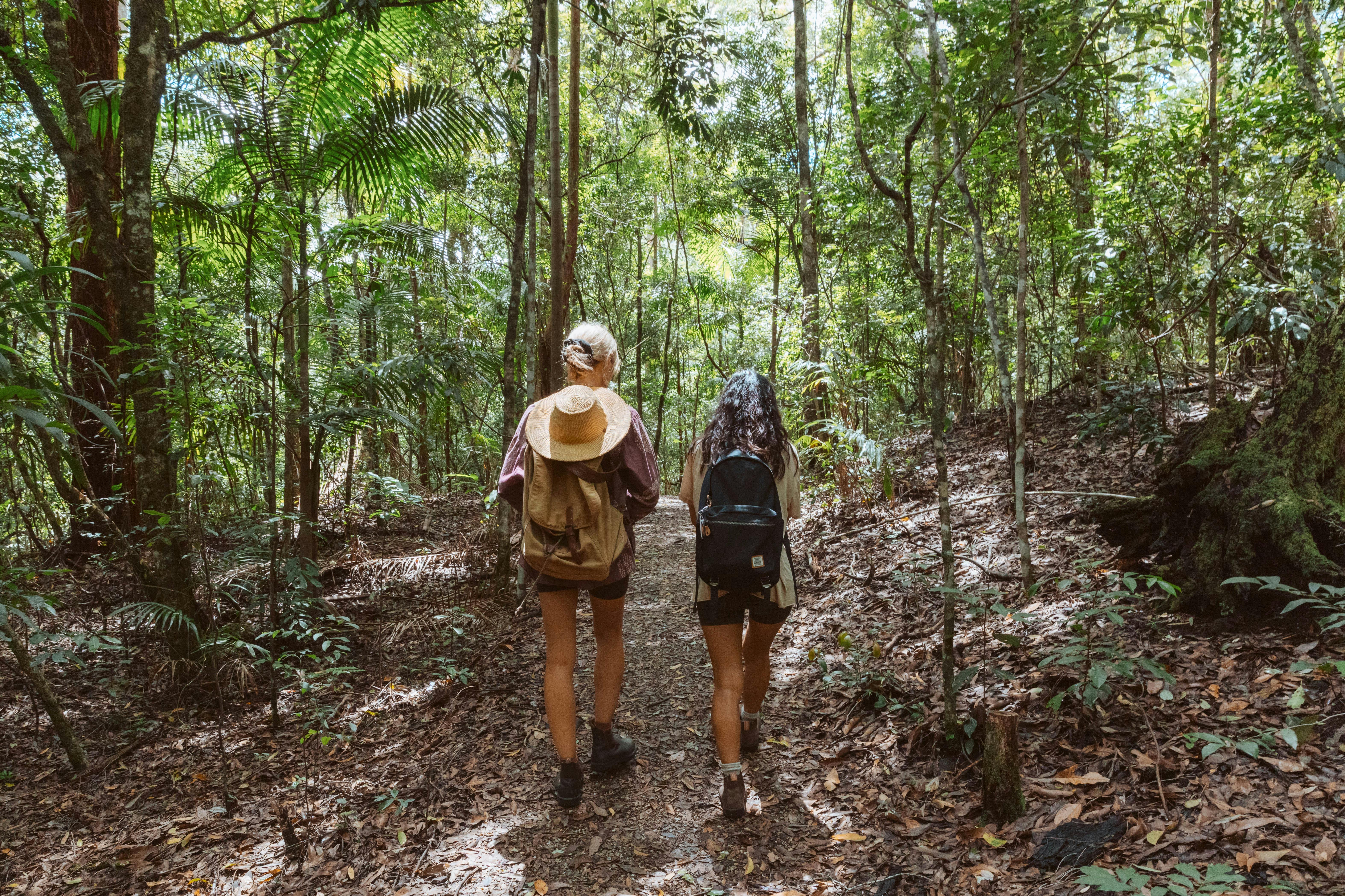 To woemn walking through a rainforest carrying daypacks