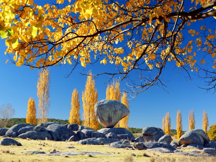 Balancing Rock in Autumnal colours Glen Innes