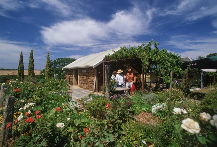 A Private Wine Tour of McLaren Vale