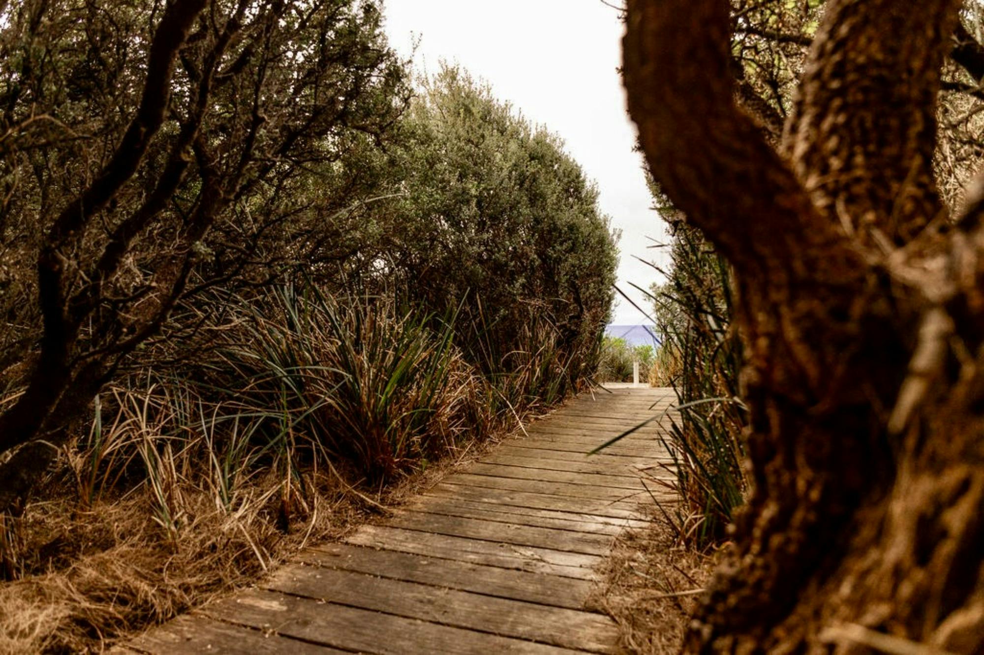 Oriole Bay of Fires Direct beach access