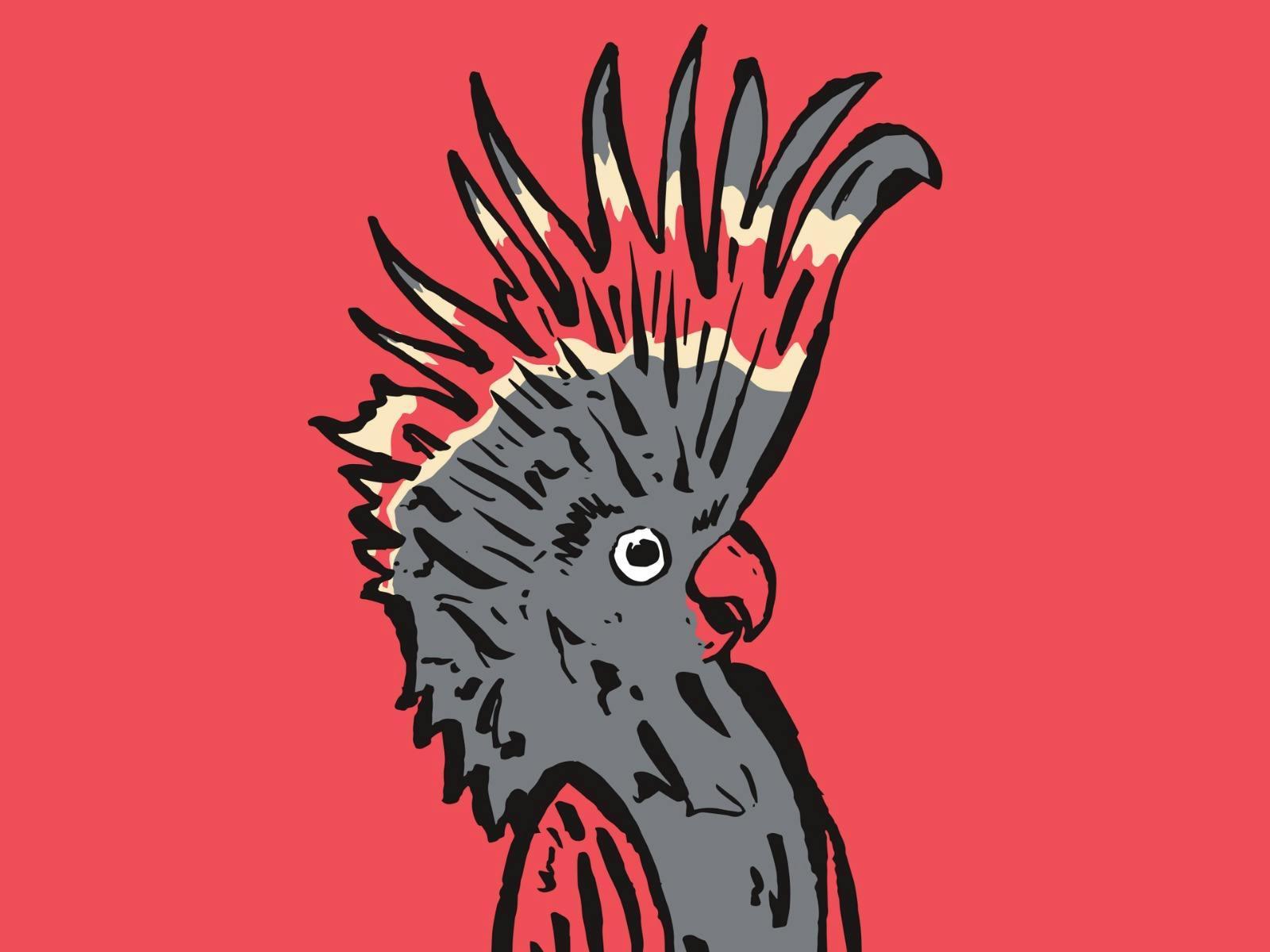 Melbourne International Comedy Roadshow - Geelong