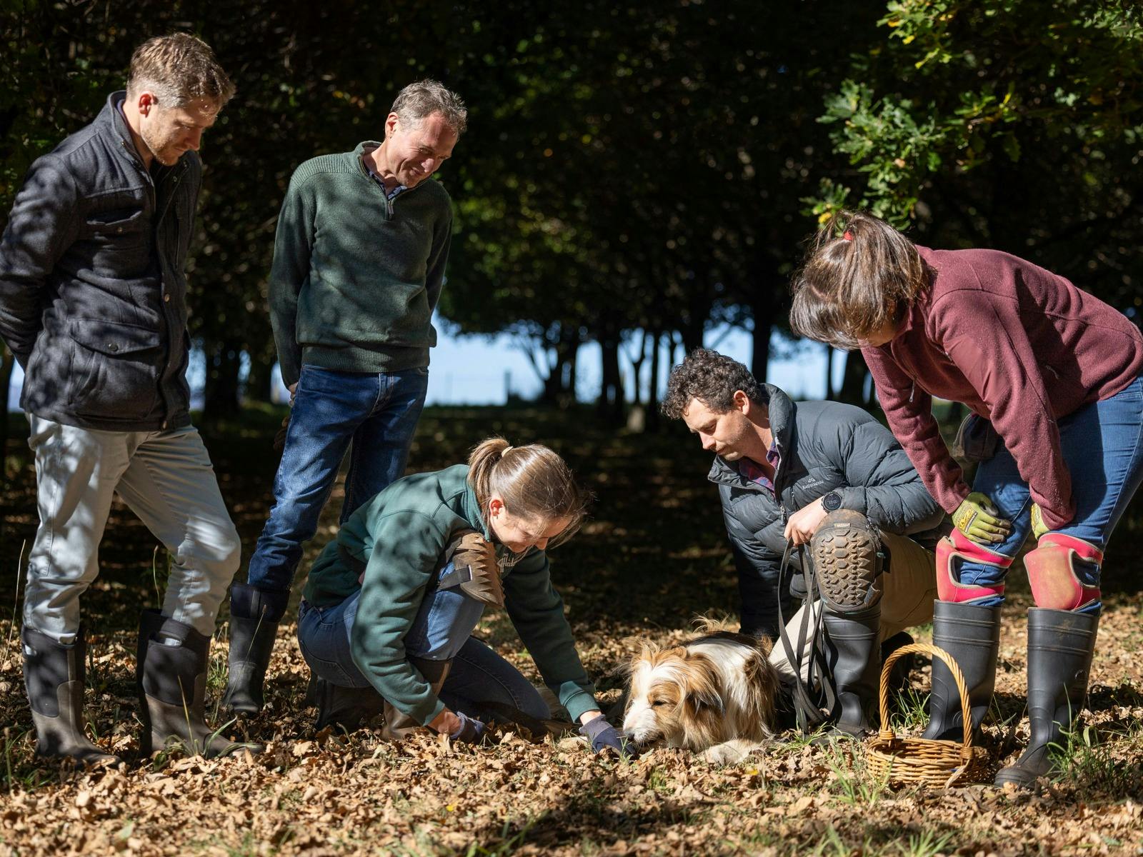 A day in the life of a truffle hunter image