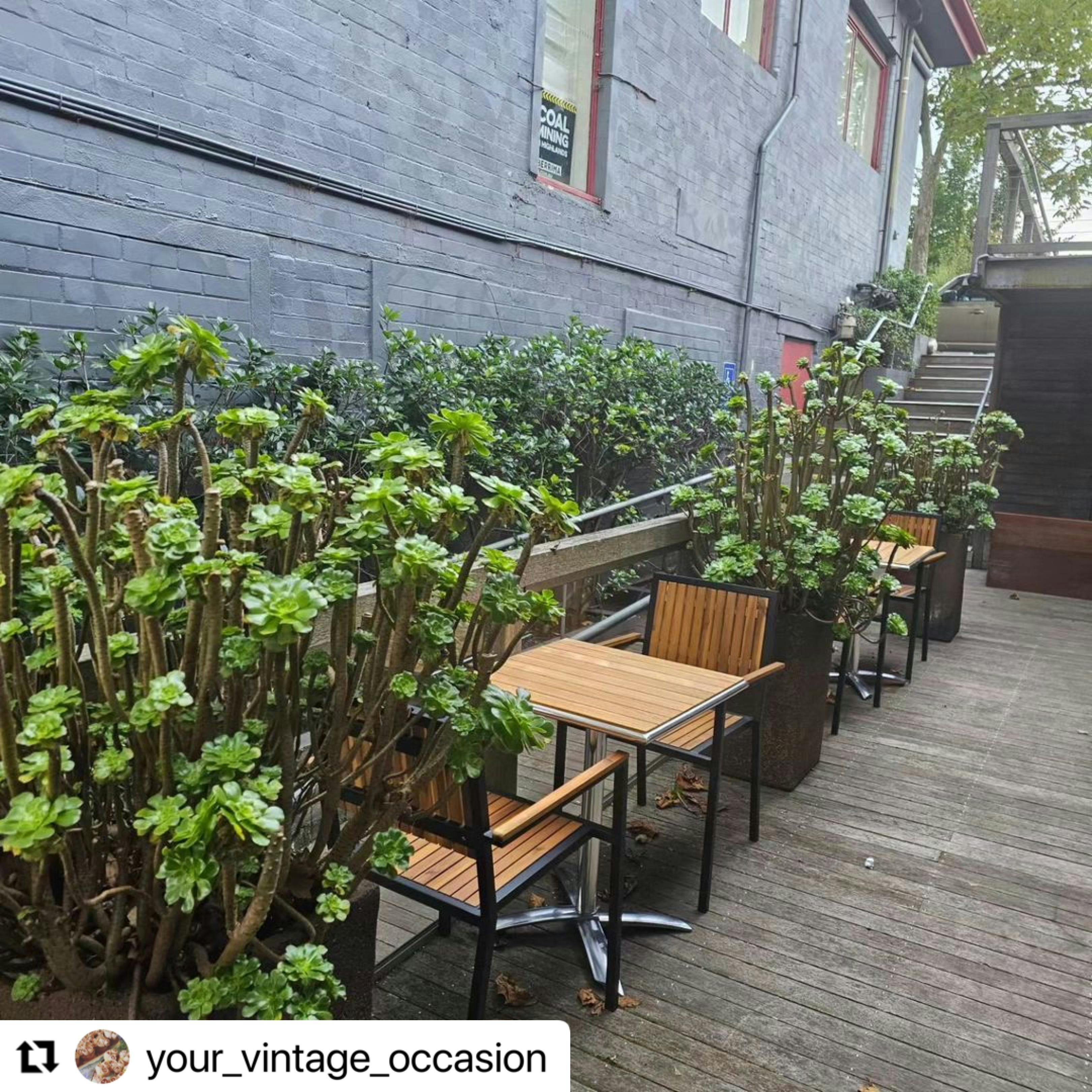 Your Vintage Occasion Tea Salon and Cafe