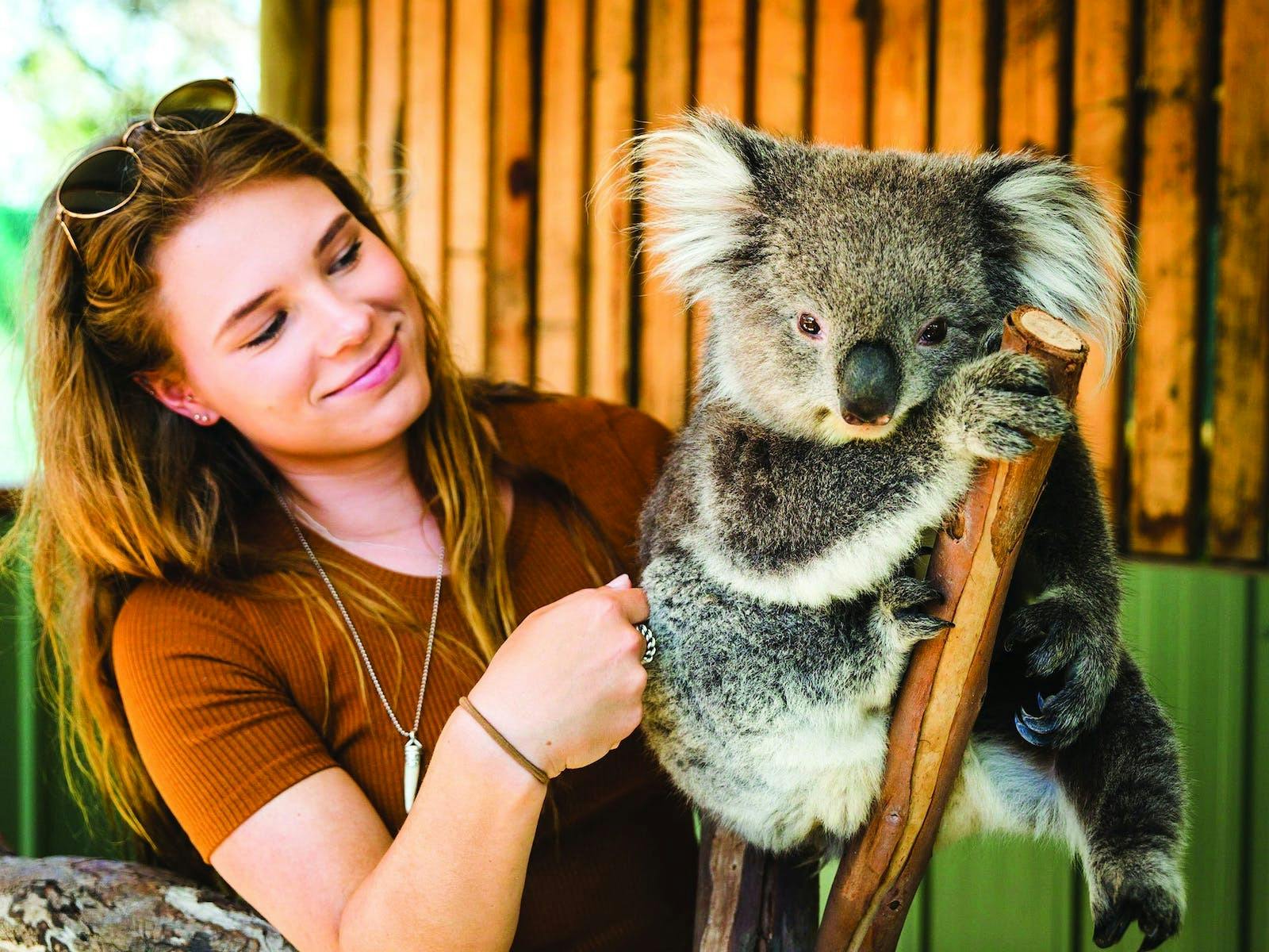 Phillip Island Tour