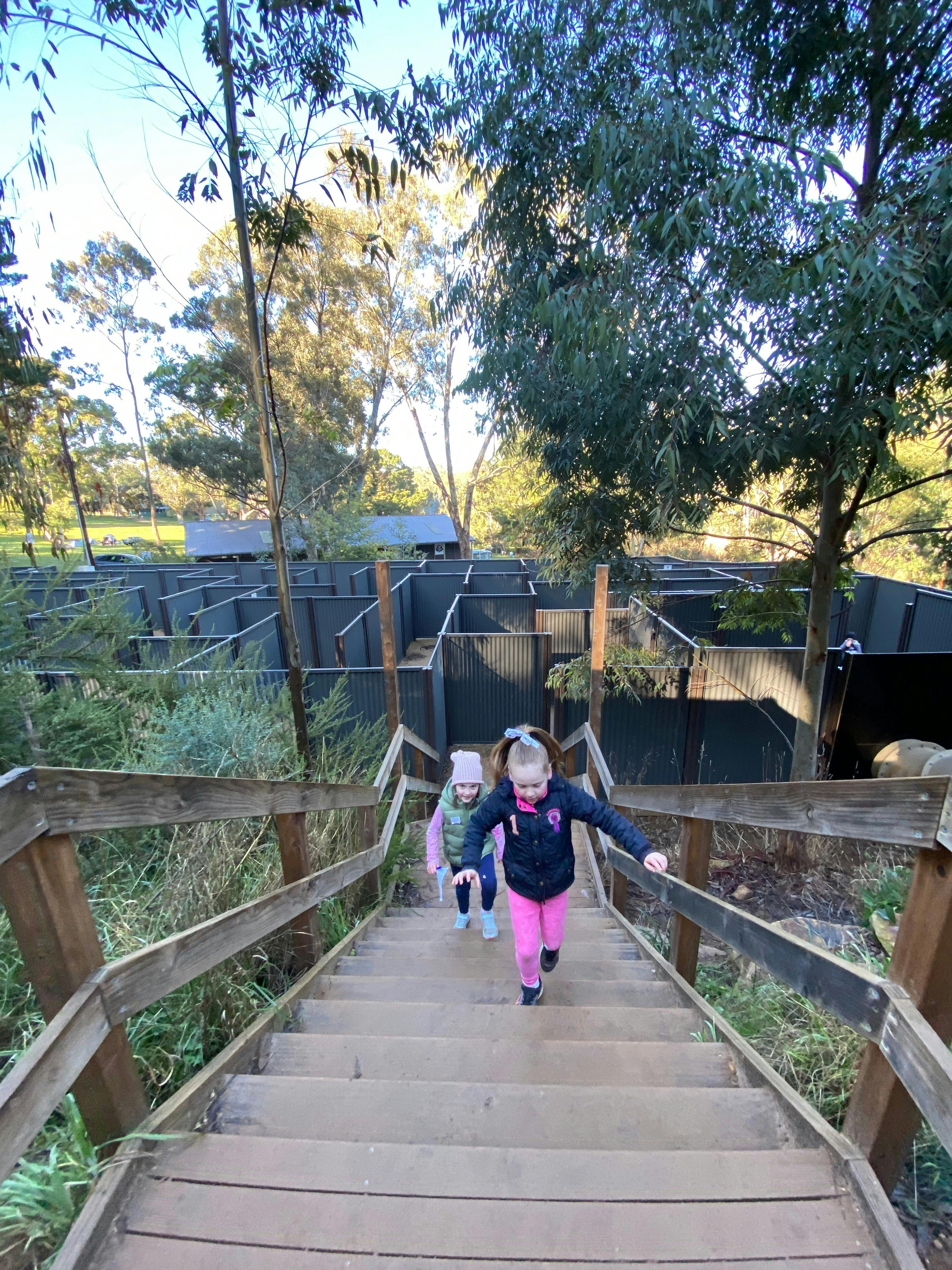 Two children climbing steps between levels of the giant maze