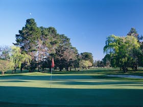 Catalina Country Club