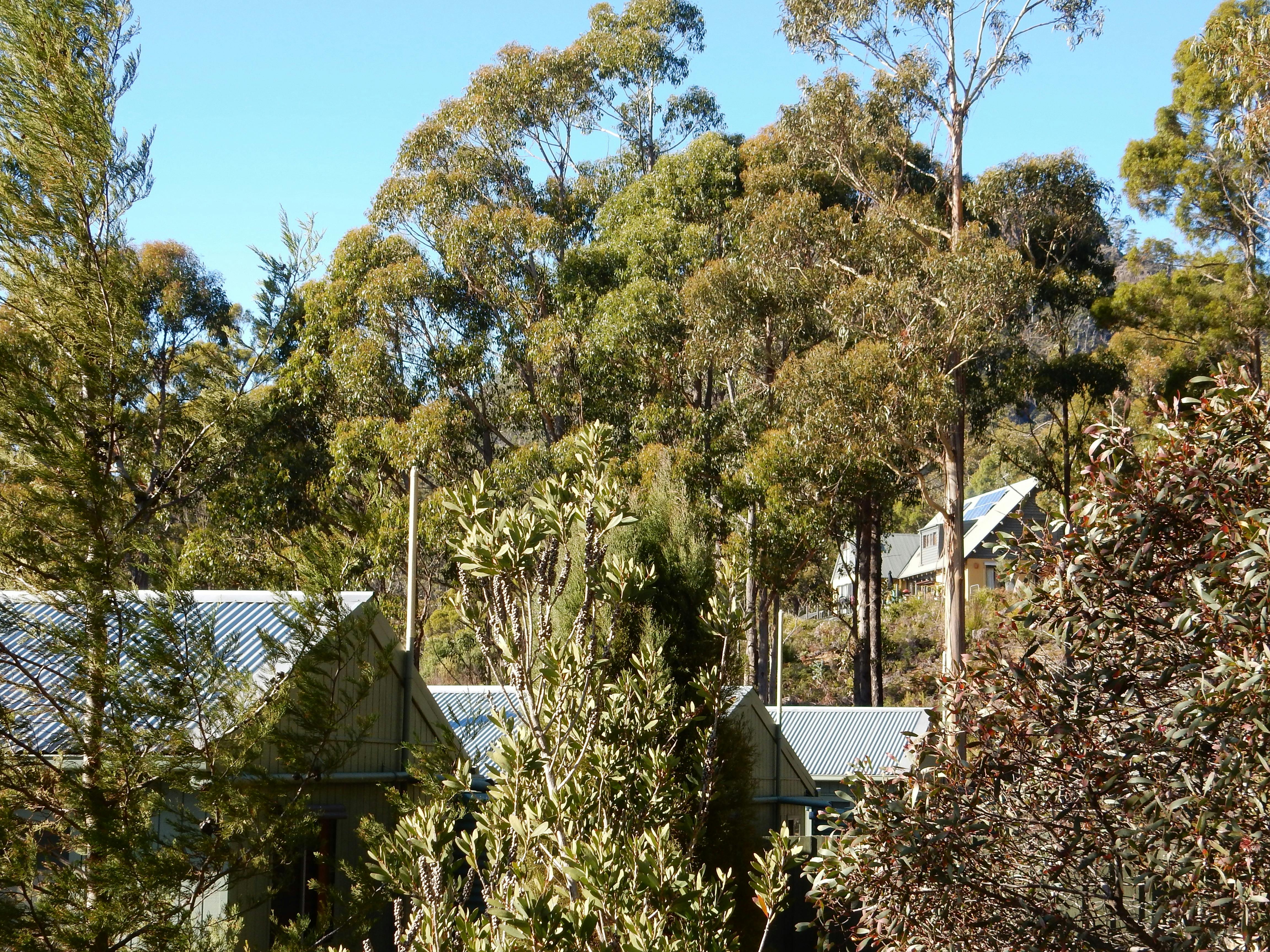Looking towards lodge