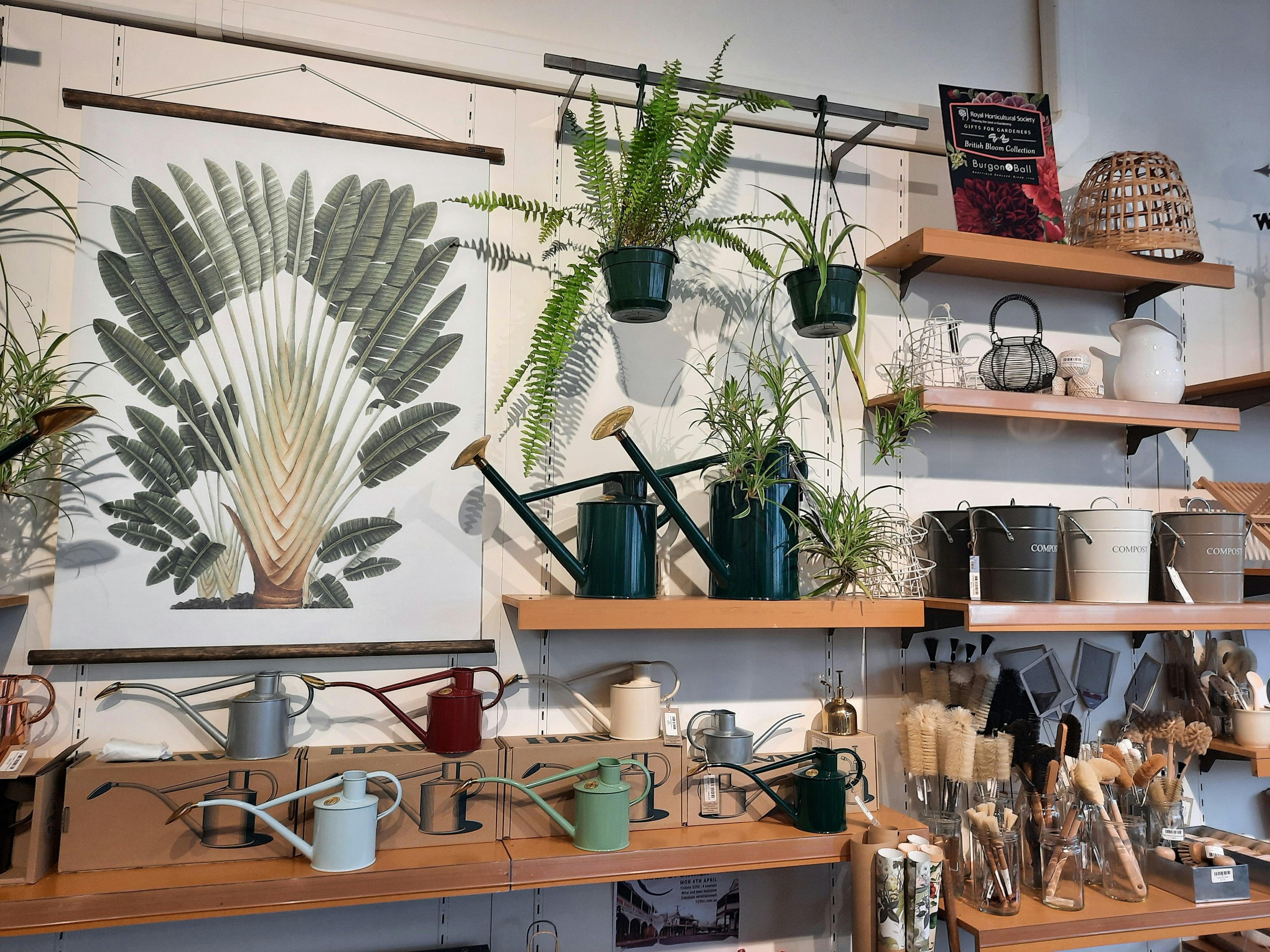 watering cans and posters