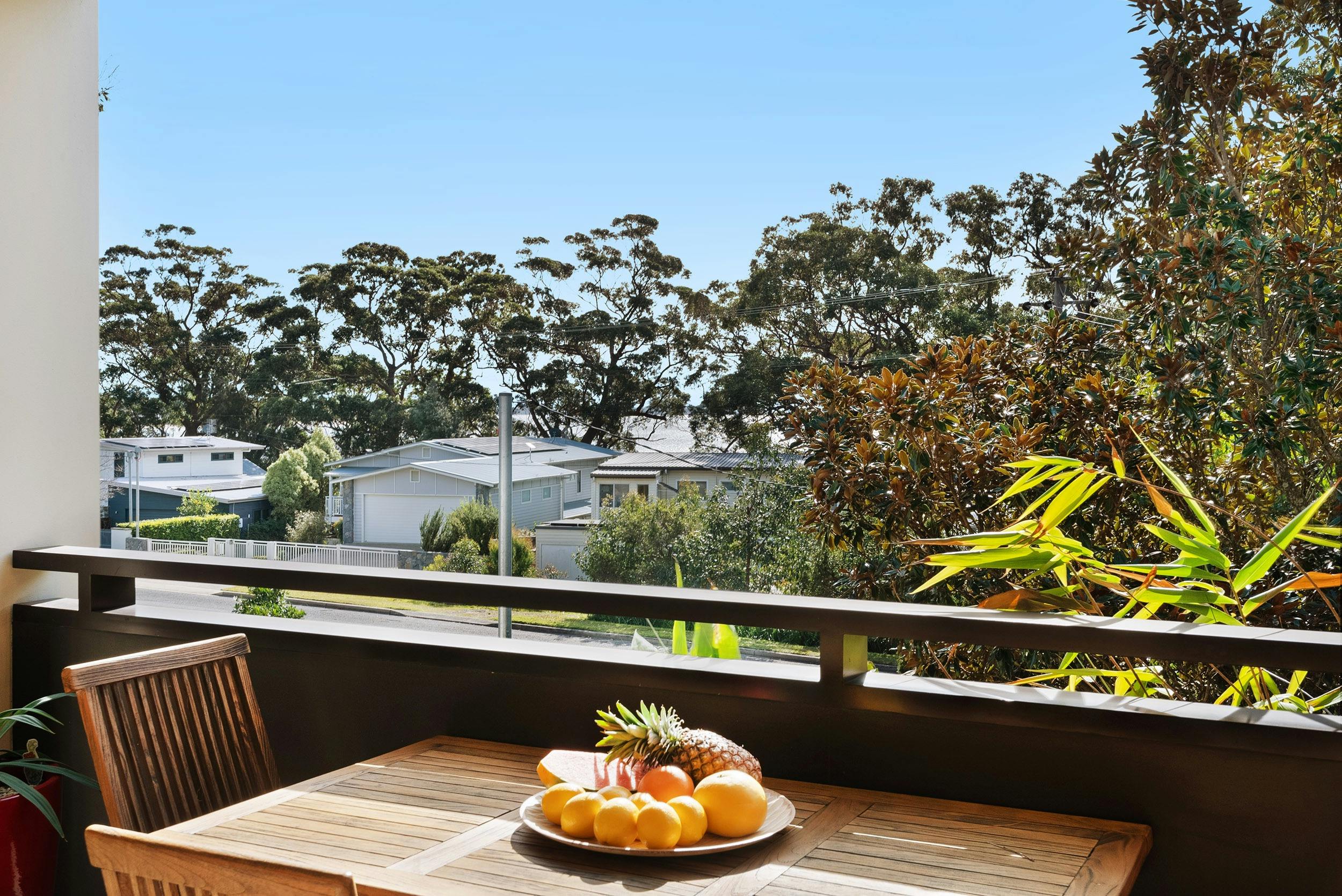 Palms at Piana, Photographer Russell Quinn