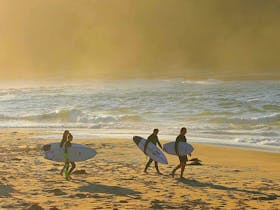 Cronulla Surfing Academy Intermediate Surfing