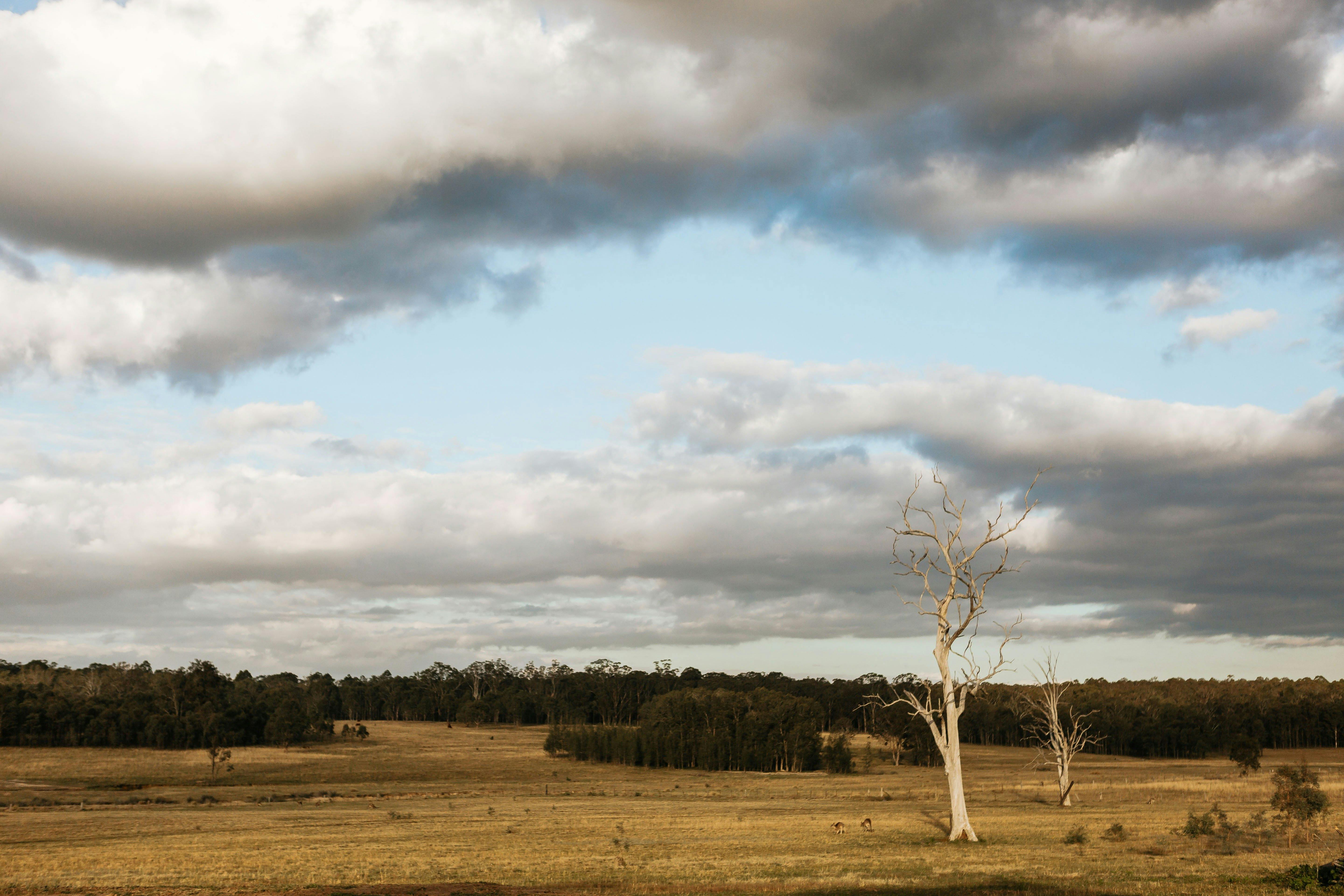 Corunna Station 10 Bedrooms