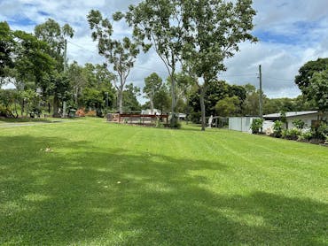 Green grass with trees in the background