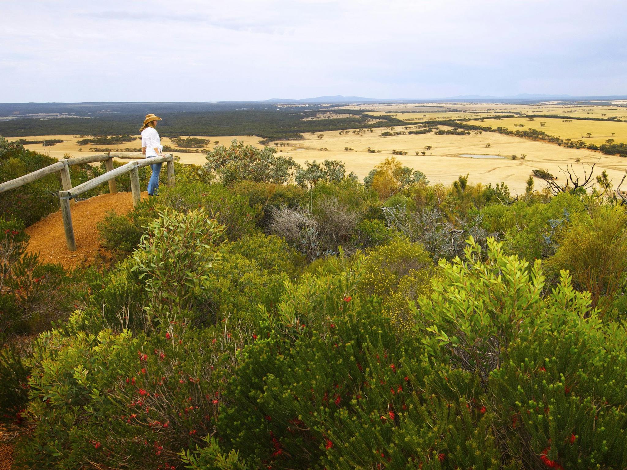 Archer Drive Scenic Drive and Lookout