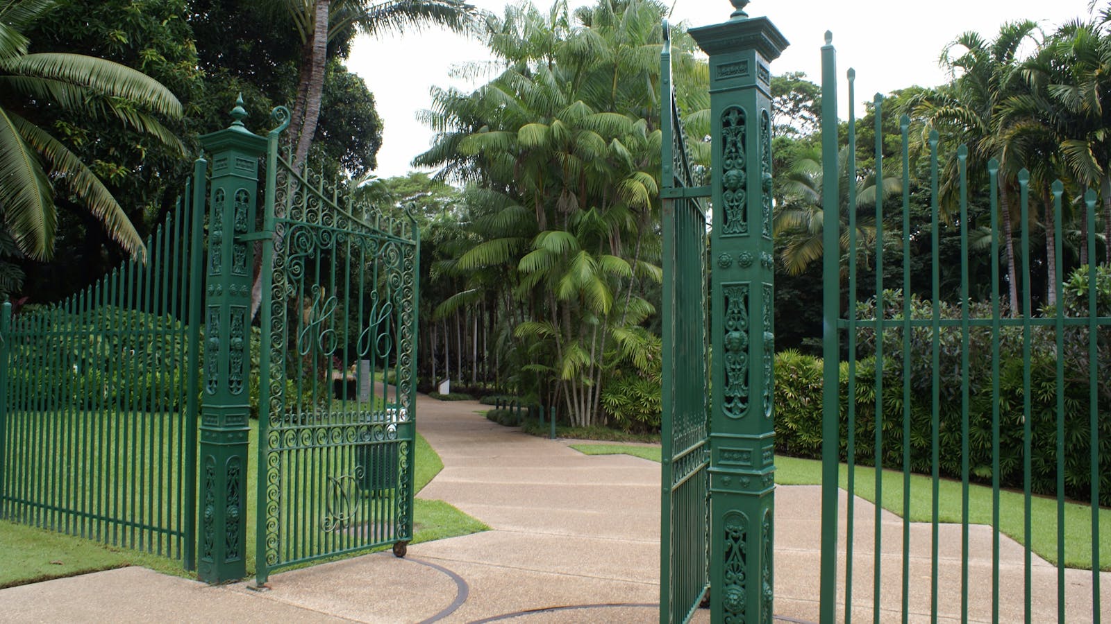Townsville Palmetum
