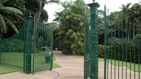 Townsville Palmetum