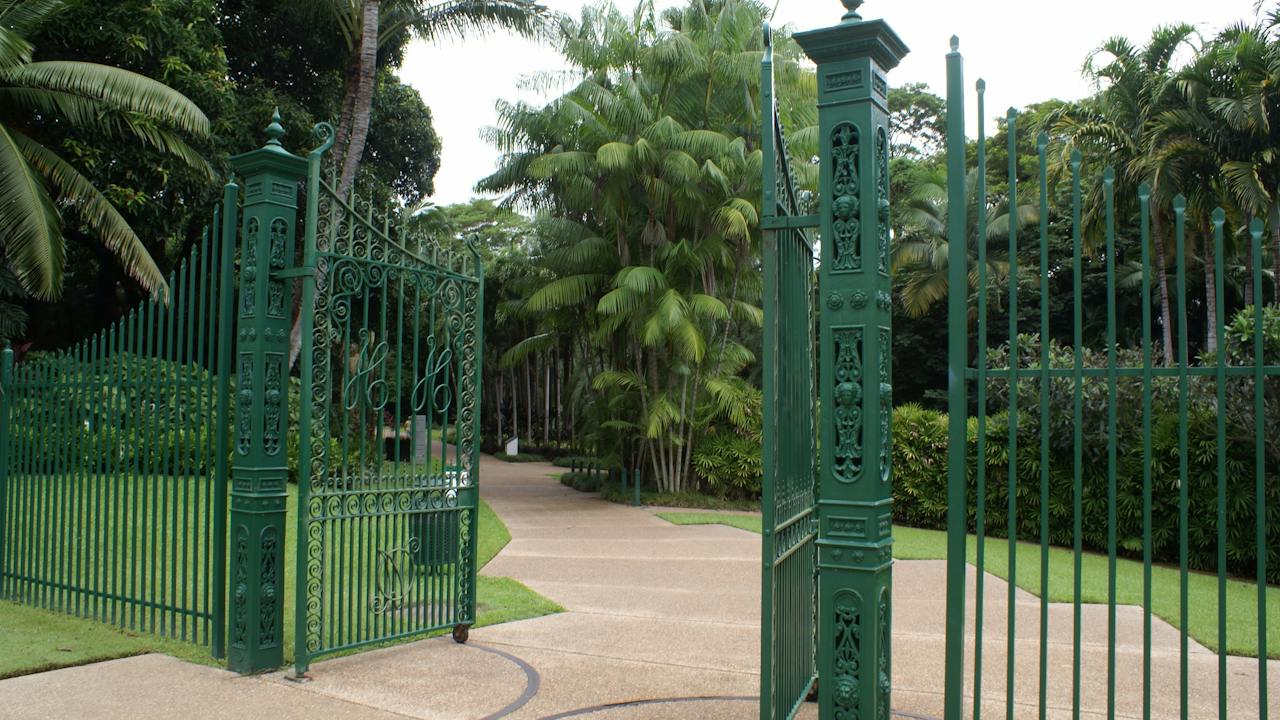 Townsville Palmetum