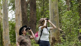 Chichester State Forest