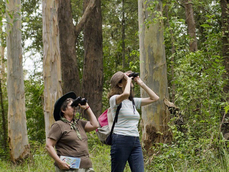 Chichester State Forest