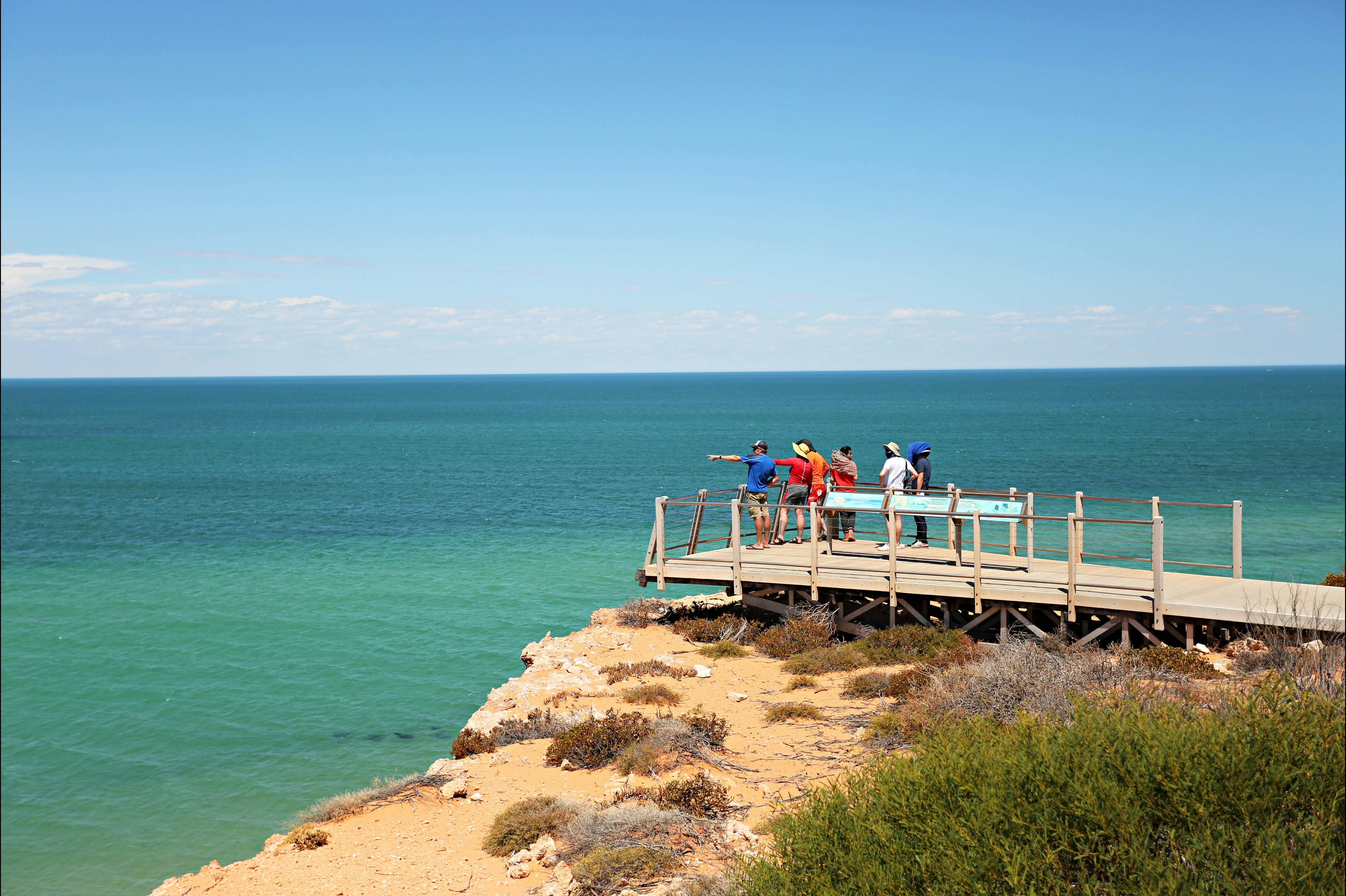 Shark Bay Coastal Tours, Denham, Western Australia