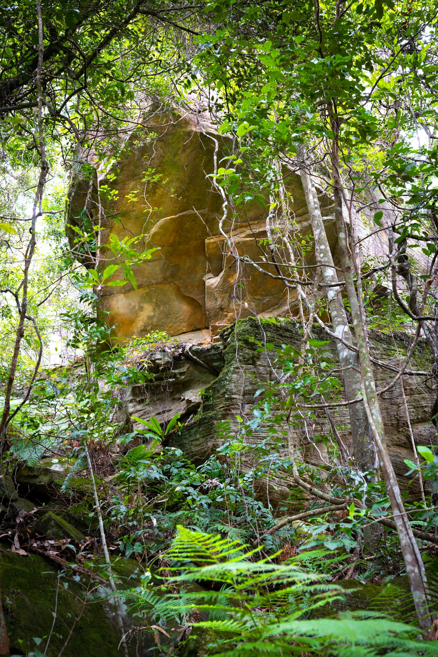 Rocky overhang along Strickland Falls Track